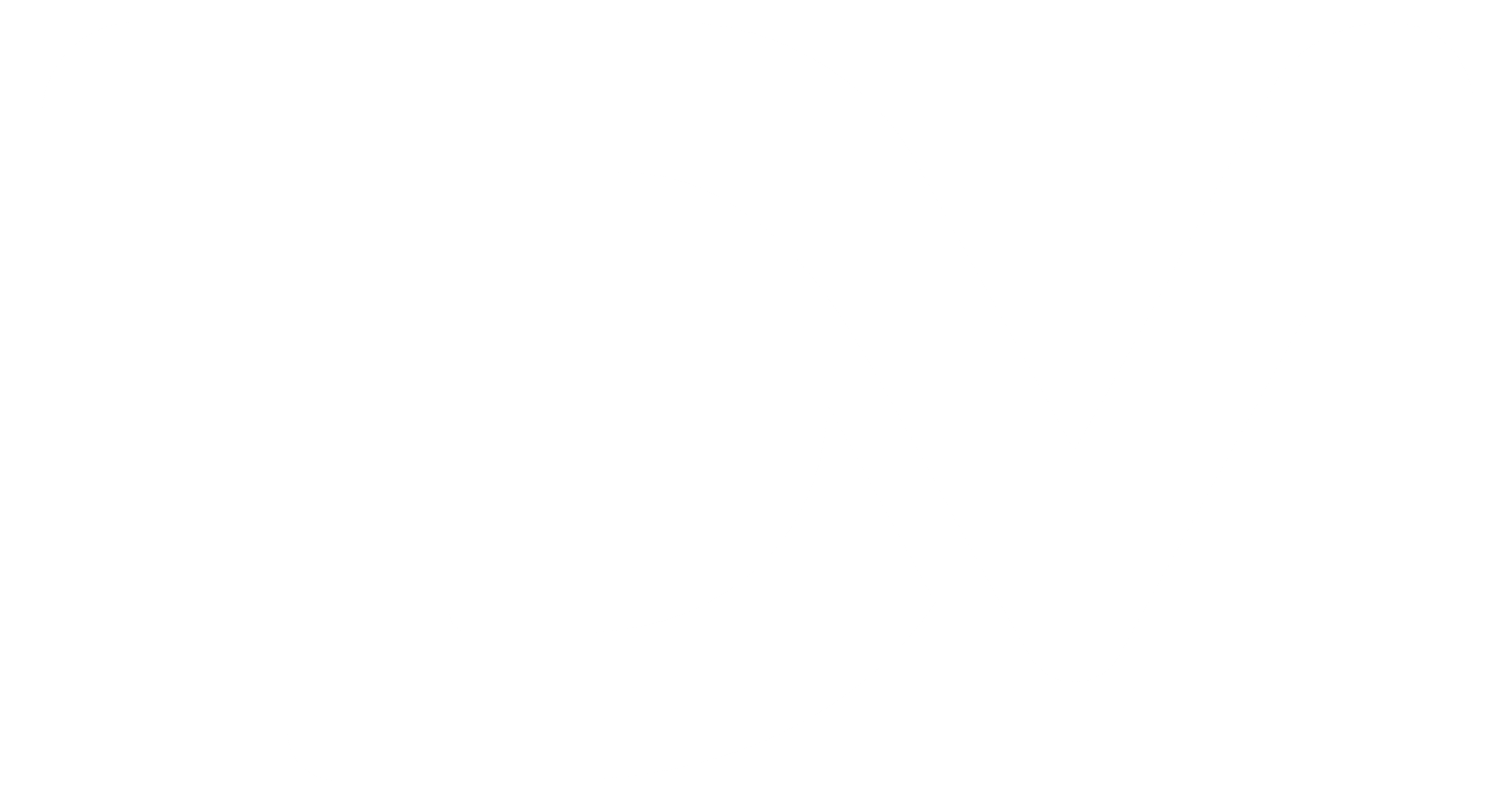 IDM